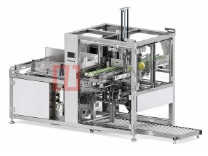 Double-Head High-Speed Case Former